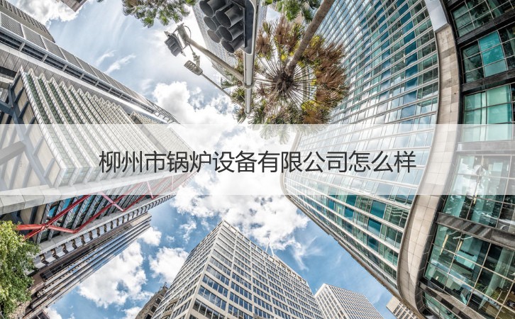 柳州的產(chǎn)業(yè)機(jī)遇 鍋爐設(shè)備、就業(yè)環(huán)境與針紡原料銷售分析